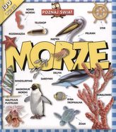 Poznaj świat. Morze