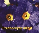 Przebaczysz mi? Perełka 124