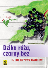 Dzika róża, czarny bez. Dzikie krzewy owocowe. Mój ogród
