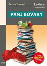 Pani Bovary. Lektura z opracowaniem