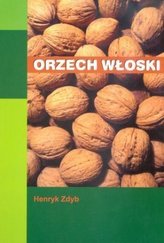 Orzech włoski