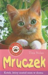 Na pomoc zwierzakom. Mruczek. Kotek, który został sam w domu