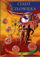 Ciało człowieka