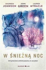 W śnieżną noc