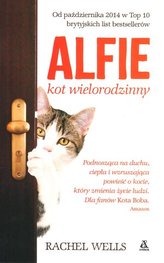 Alfie - kot wielorodzinny