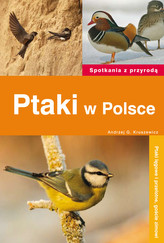 Ptaki w Polsce. Spotkania z przyrodą