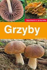 Grzyby