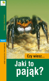 Czy wiesz… Jaki to pająk?