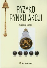 Ryzyko rynku akcji