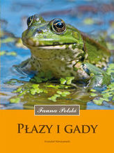 Płazy i gady