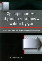 Sytuacja finansowa śląskich przedsiębiorstw w dobie kryzysu