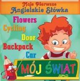 Moje pierwsze angielskie słówka Mój świat
