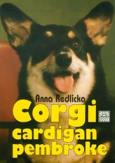 Corgi cardigan i  pembroke