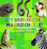 Czy grzechotnik ma grzechotkę