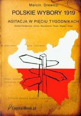 Polskie wybory 1919