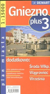 Gniezno plus 3 1:20 000  plan miasta