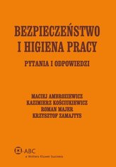 Bezpieczeństwo i higiena pracy