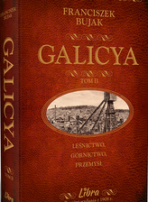Galicya. Tom II