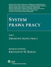 System prawa pracy