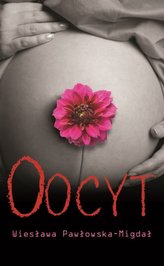 Oocyt