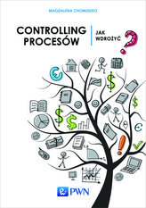 Controlling procesów