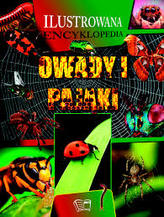 Ilustrowana encyklopedia. Owady  i pająki