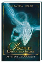 Kroniki rozdartego świata. Asystent czarodziejki