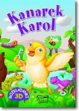 Kanarek Karol. Rozkładanki 3D