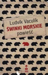 Świnki morskie