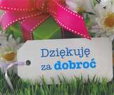 PEREŁKA 265 DZIĘKUJĘ ZA DOBROĆ EDYCJA ŚW.  9788377976043