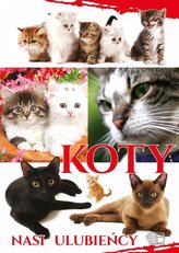 Koty. Nasi ulubieńcy