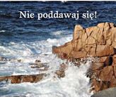 PEREŁKA 118 NIE PODDAWAJ SIĘ!