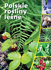 Polskie rośliny leśne