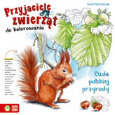 Poetika českého filmu