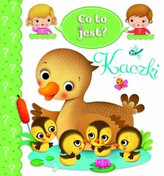 CO TO JEST KACZKI 4 KARTON FK9788327456847