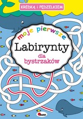 Kredką i pędzelkiem. Labirynty dla bystrzaków