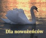 DLA NOWOŻEŃCÓW PEREŁKI