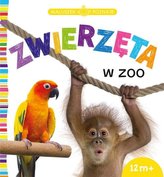 Maluszek poznaje zwierzęta w zoo