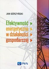 EFEKTYWNOŚĆ ENERGETYCZNA W DZIAŁALNOŚCI GOSPODARCZEJ