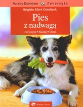 Pies z nadwagą