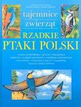 Rzadkie ptaki polskie
