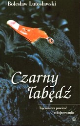 CZARNY ŁABĘDŹ