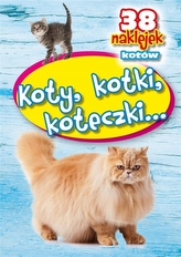 Koty, kotki, koteczki...