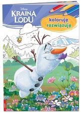 KRAINA LODU KOLORUJE ROZW. D-296 AMEET 9788325330743