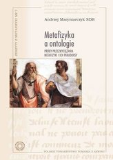 Metafizyka a ontologie. Próby przezwyciężania...