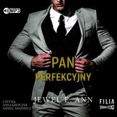 Pan Perfekcyjny audiobook