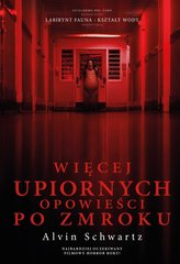 Więcej upiornych opowieści po zmroku