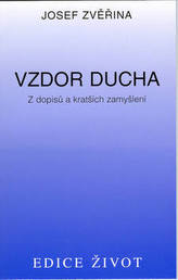 Vzdor ducha