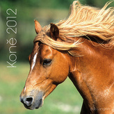 Koně 2012 - nástěnný kalendář
