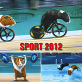 Sport - nástěnný kalendář 2012